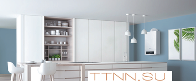 Настенный газовый котел Thermex Andromeda HM11 Настенный газовый котел Thermex Andromeda HM11